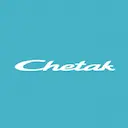 Electric vehicle brands