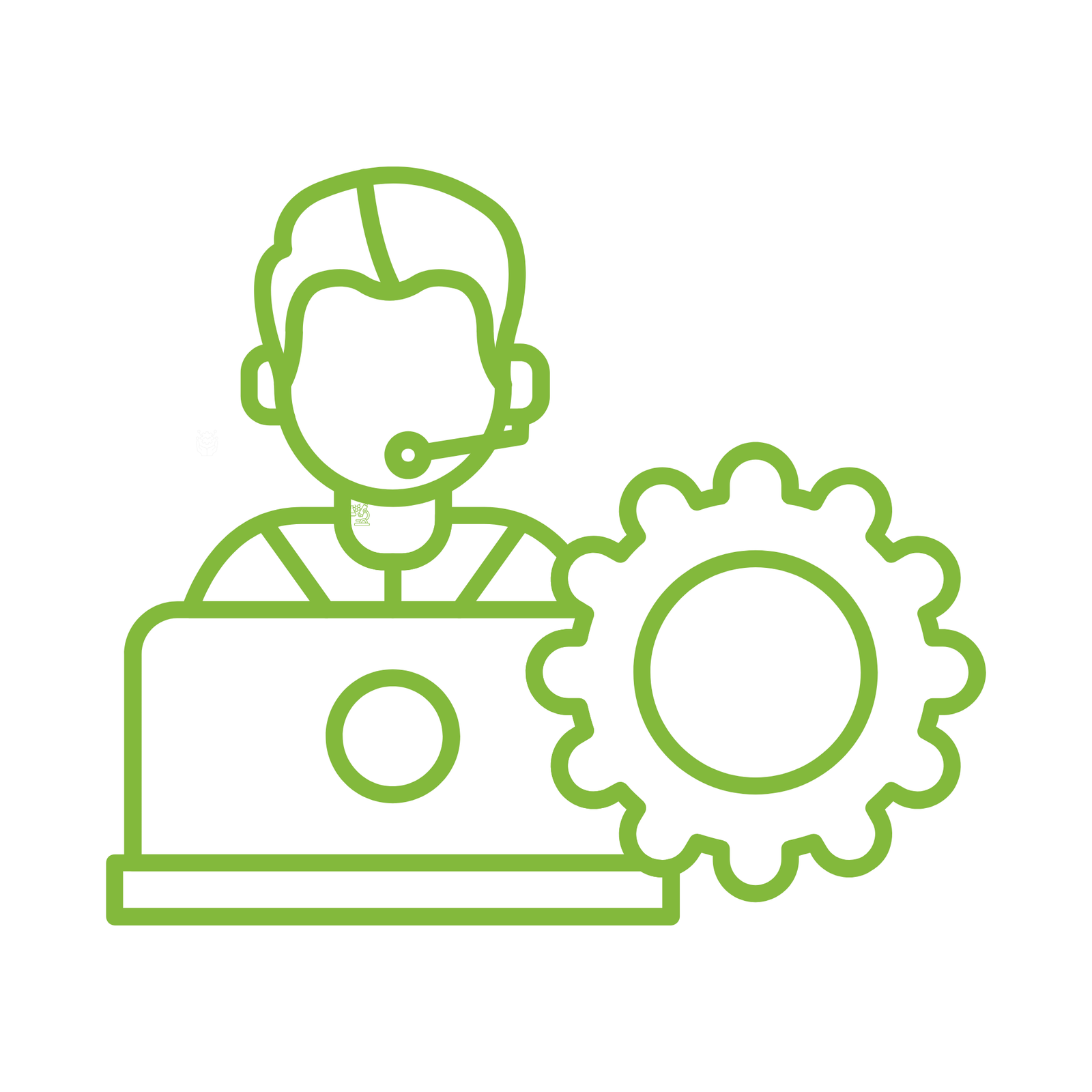 Customer Support for Electric Vehicle Manufacturers